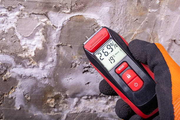 Best Home Mold Removal  in Saddle River, NJ