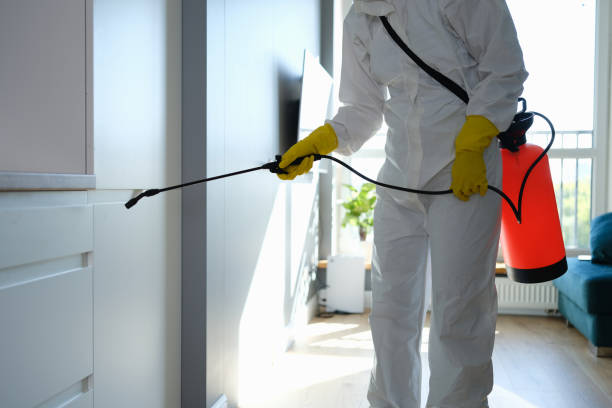 Best Certified Mold Removal  in Saddle River, NJ