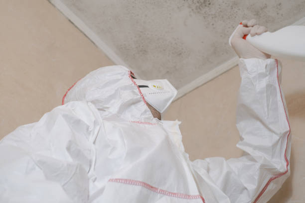 Best Mold Testing  in Saddle River, NJ